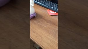 РЫБА ЭФЕЛИН