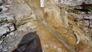 Большое путешествие Путеводитель Новороссийск Поход на 12 водопадов лягушки обквакали лицо нав камне