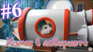 Хомяк в лабиринте (6 серия)