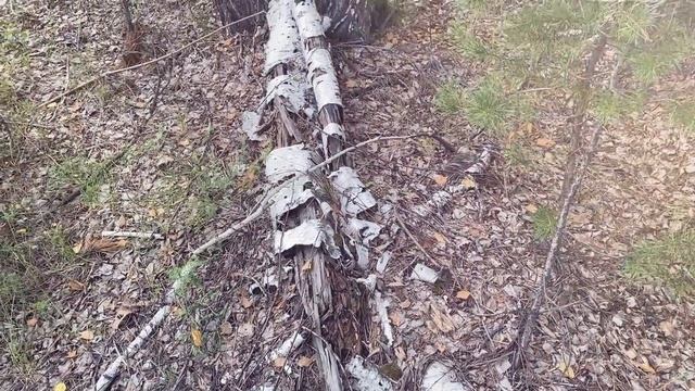 Словно в детстве. Музыка для души Анна Зуева