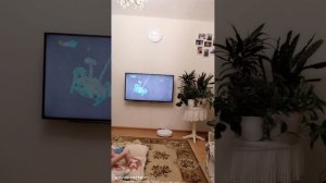 батут