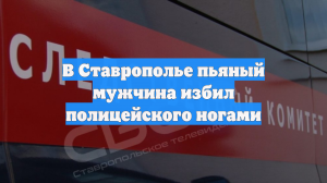 В Ставрополье пьяный мужчина избил полицейского ногами