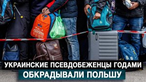 Украинские псевдо-беженцы годами обкрадывали Польшу