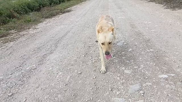 Облако рай смотреть онлайн