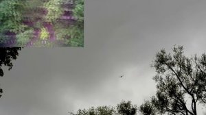 WLToys V686G - flying in the park