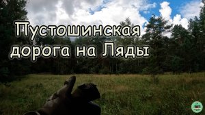 Пустошинская дорога на Ляды