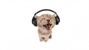 ПРОХОЖДЕНИЕ МИР ДЕНДИ!ДОШЛА ДО 10 ЭТАЖА ИЗ ЗА ПЕББЛА?......(простите за качество звука)