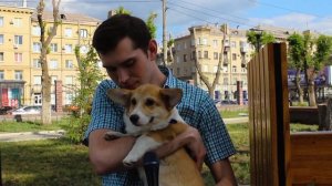 Вечер с корги - 2023