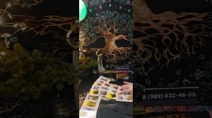 Таро-расклад