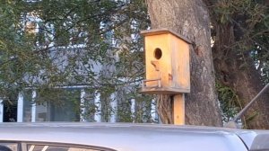 30.08.25. Первая прогулка. Пограничная жилой массив.