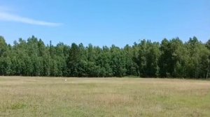 Атом шустрые полеты вокруг