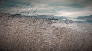 2 Gladiator _ Tranquil Ambient Soundscape with Iconic Music from the Epic Film