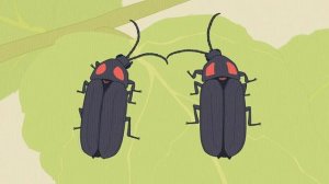 Сериал Невероятные факты эволюции — 18 серия / Zannen na Ikimono