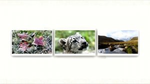 Plu-Ton  - Wonderful Euphoria