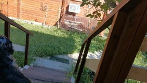 СОЧИ ГОРНОЕ ЛОО ВЕЧЕР 06.09.2025