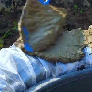 Сестра буквально заставила подписаться на канал 🏠"Дача И Дом" и подарила мне несколько ростков. ...