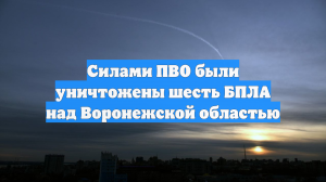 Силами ПВО были уничтожены шесть БПЛА над Воронежской областью