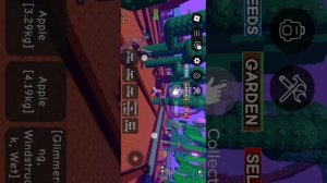 Играю в Grow a garden🌶️