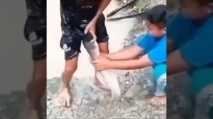 | MemLand | Приятного просмотра!