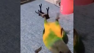 | MemLand | Приятного просмотра!