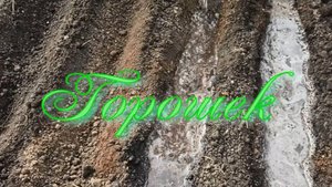 Горошек. Стихи, монтаж и генерация звука в ИИ - Е.Доставалов