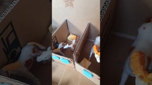 обзор конюшни 2 лошадок шляйх пинто вы не найдёте не где