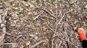 КАМЕННЫЙ ГРЕБЕНЬ. СКАЛА  САРЫ-КАЯ. НЕТУРИСТИЧЕСКИЙ КРЫМ.  с. ДАЧНОЕ.