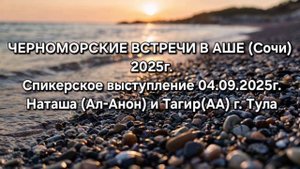 Спикерская в Аше Наташа( Ал-Анон) и Тагир( АА) ( Тула
