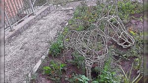 Домашние питомцы: кошки - собаки.