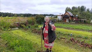 Сад Огород это Сила