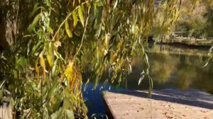 video532350833012614552-ОСЕНЬ