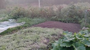 Обзор  05.09.2025  Танкист555