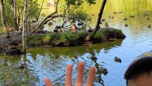 Волшебное озеро с островом "Утиная слава"