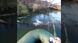 Видео от За Трофеем: Охота и Рыбалка