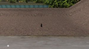 SVID_20250812_213552_1.mp4