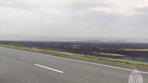 В Оренбургской области ликвидирован крупный ландшафтный пожар