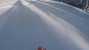 Целина на закрытой трассе северного склона "Архыза"