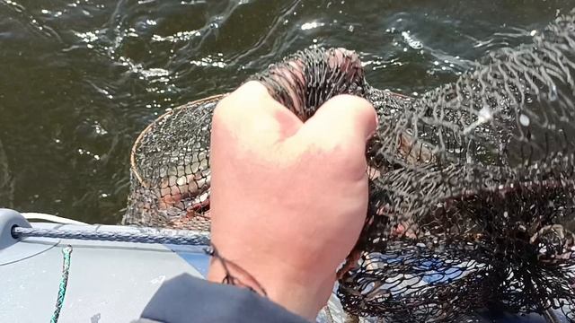 Натягал лещей с лодки на банки. смотреть онлайн