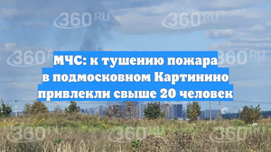 МЧС: к тушению пожара в подмосковном Картинино привлекли свыше 20 человек