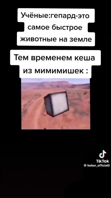 мемы