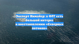 Эксперт Нимайер: в ФРГ есть большой интерес к восстановлению «Северных потоков»