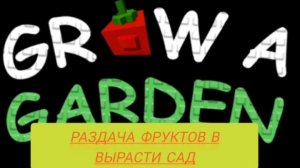 раздача фруктов