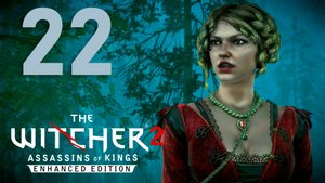 Ведьмак 2. Убийцы королей. Серия 22 (Глава 3, Именем Темерии, Главный свидетель, Лилии и змеи)