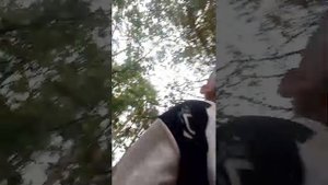 новая площадка