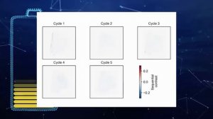 Сетевое зарядное устройство Cabal Premium 35W черный