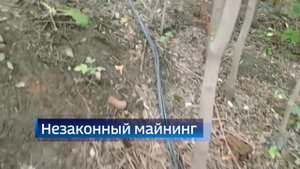 Коротко о важных событиях недели