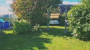Уютная дача! 🏡Тёплый сентябрь радует!🍁🍂🍁 Обзор цветов!🌺
