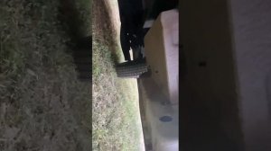 1001038815.mp4