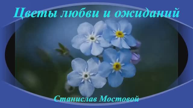 Цветы любви и ожиданий