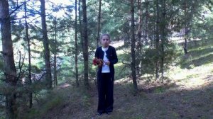 С.А. Есенин.  ЛЕБЕДУШКА